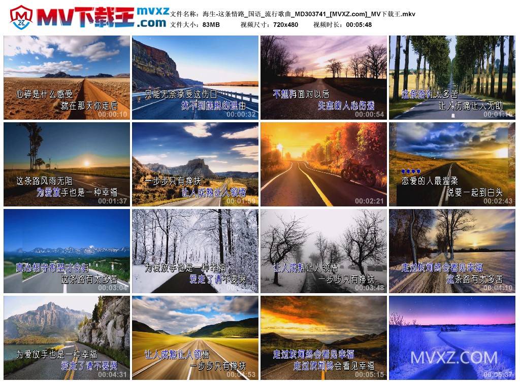 海生-这条情路_国语_流行歌曲_MD303741